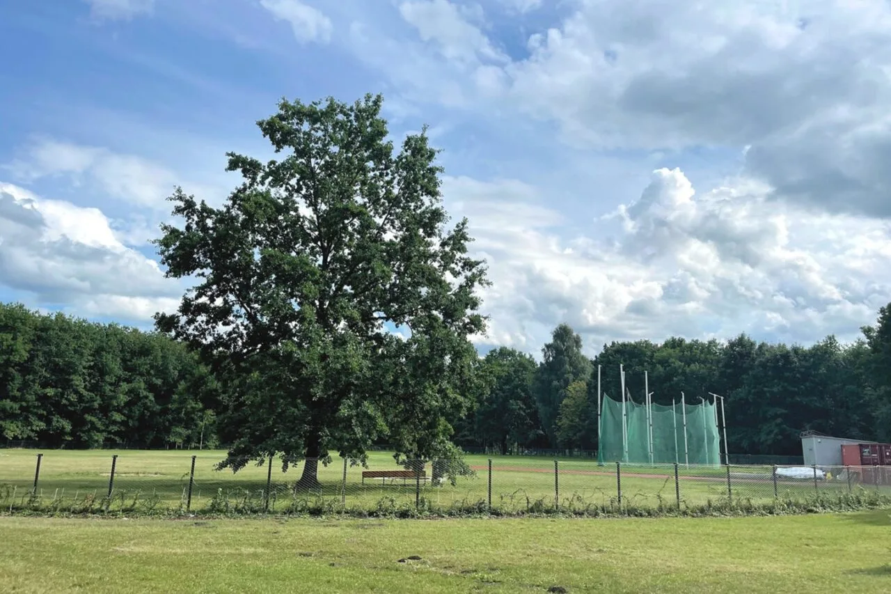 Nelegali treniruočių aikštelė Ąžuolyne: niekas nežino, ką su ja daryti