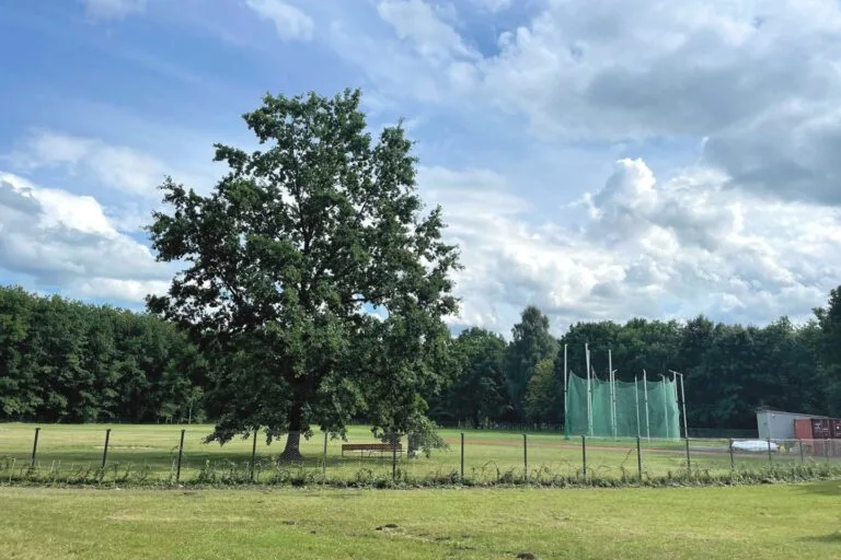 Nelegali treniruočių aikštelė Ąžuolyne: niekas nežino, ką su ja daryti