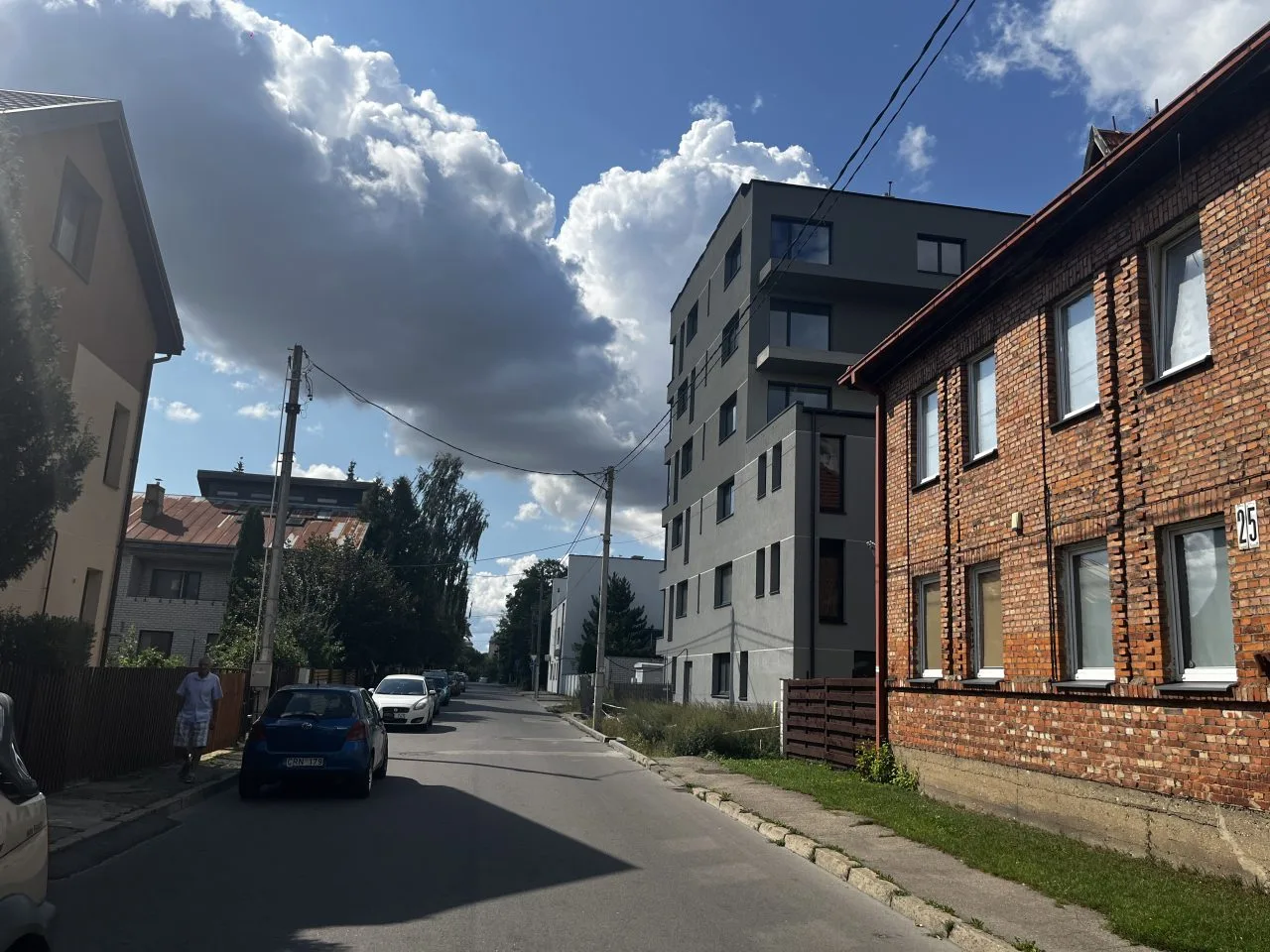 Namo Sasnausko g. griovimo kaštams „susimes“ visi kauniečiai