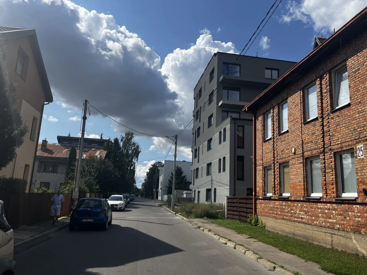 Namo Sasnausko g. griovimo kaštams „susimes“ visi kauniečiai