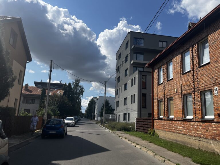 Namo Sasnausko g. griovimo kaštams „susimes“ visi kauniečiai