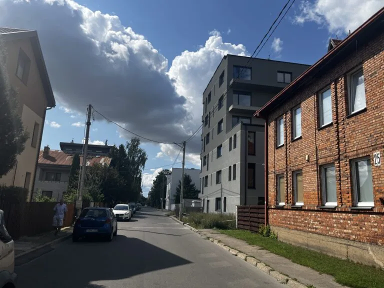 Namo Sasnausko g. griovimo kaštams „susimes“ visi kauniečiai