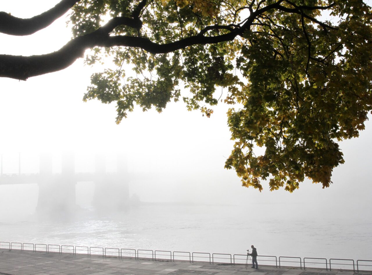 Modesto Patašiaus nuotr.