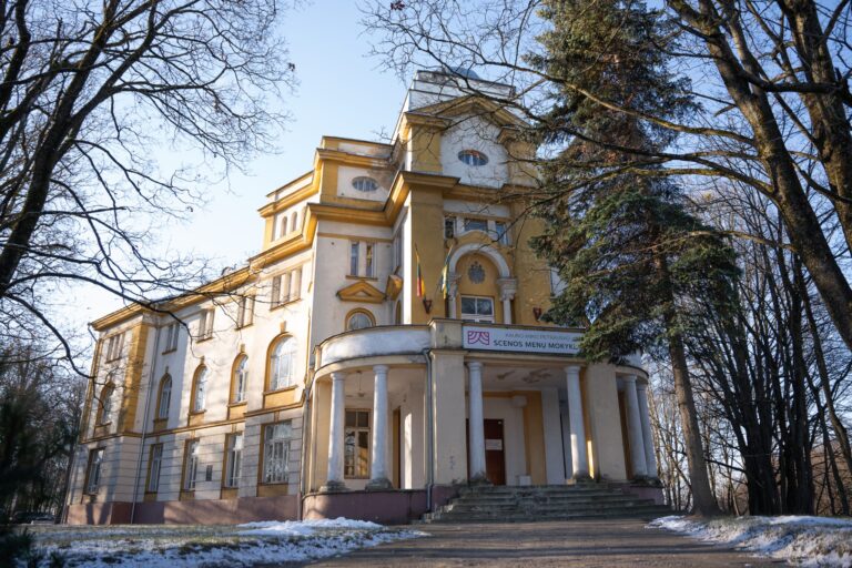 Kas trukdo tinkamai pasirūpinti paveldu Kaune?