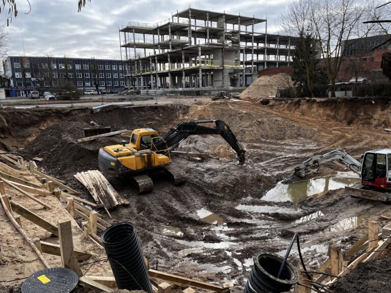 Gyvenamojo namo Žaliakalnyje statytojai – po padidinamuoju stiklu