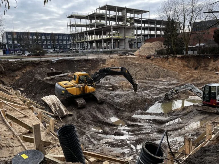 Gyvenamojo namo Žaliakalnyje statytojai – po padidinamuoju stiklu